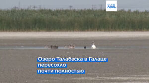 Через непомірну цьогорічну спеку і посуху в сусідній Румунії зникають озера і ставки (ВІДЕО)