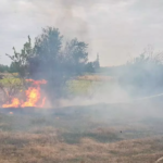 За добу на Буковині ліквідували 15 пожеж сухої трави та сміття