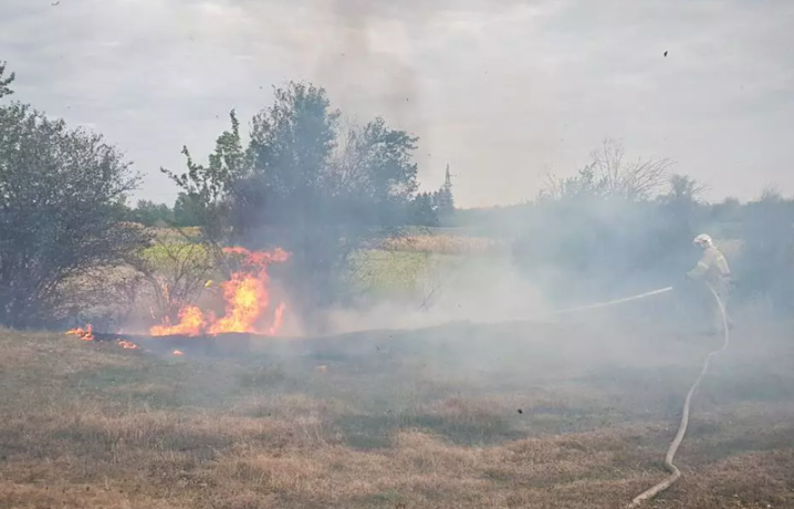 За добу на Буковині ліквідували 15 пожеж сухої трави та сміття